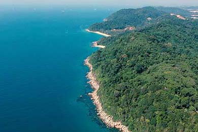 Rocket Launch Today: Status & Key Data